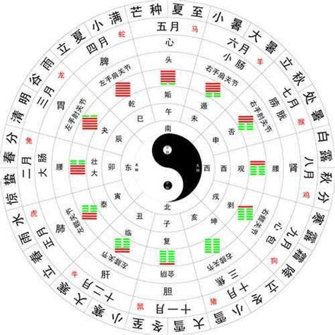 一字五行属什么|一字五行属什么？